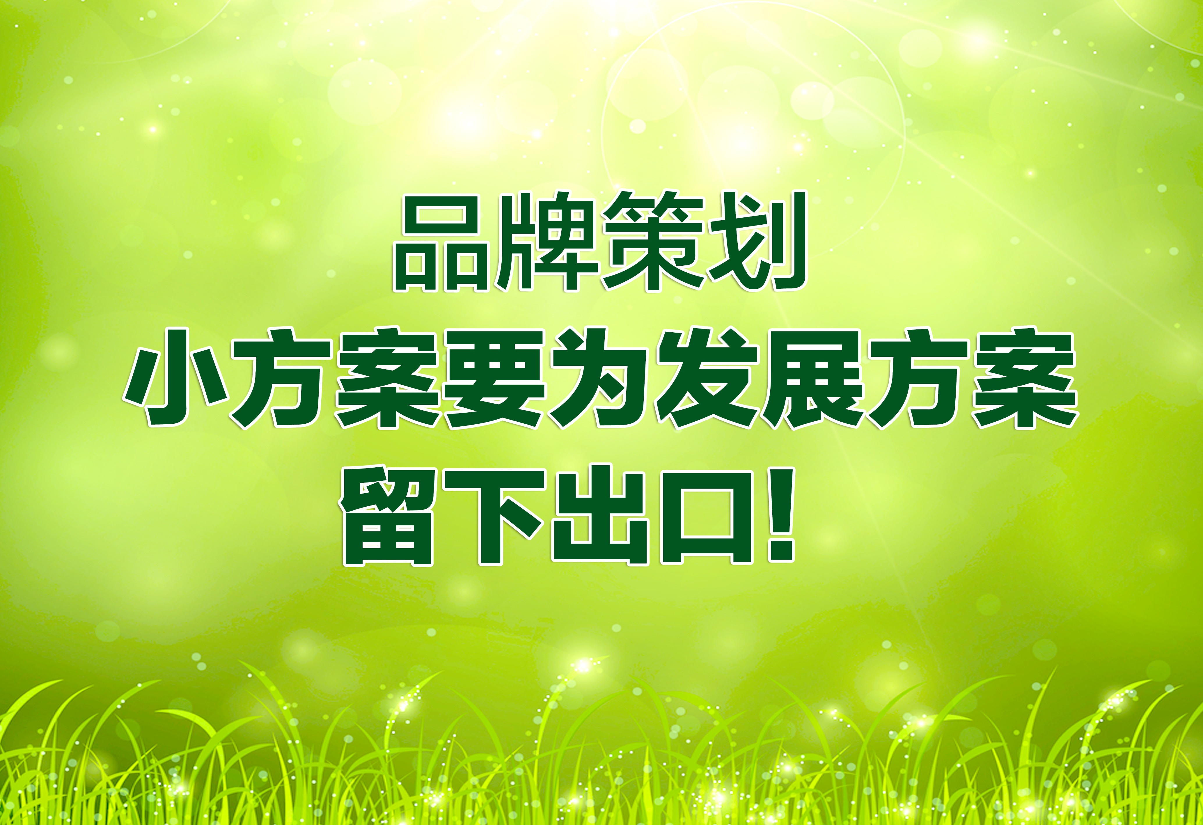 品牌策劃：小方案要為發(fā)展方案留下出口！