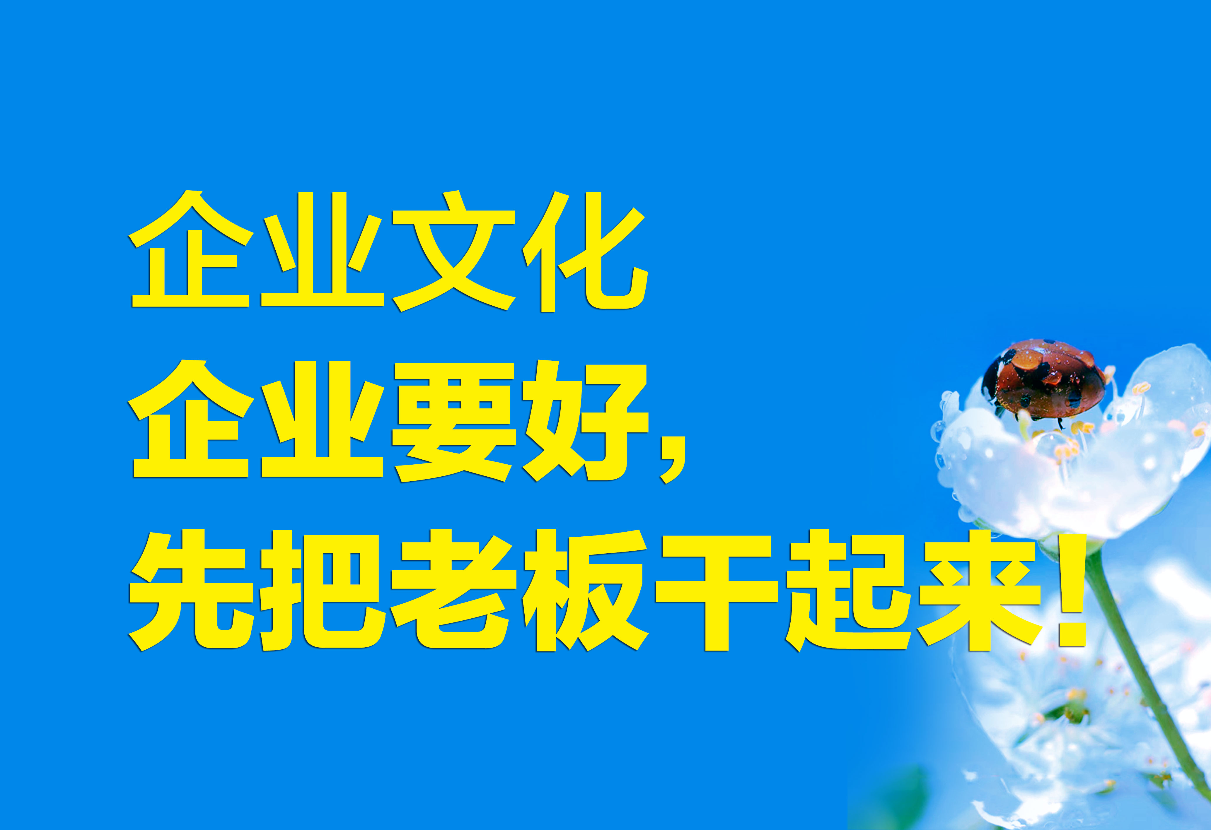 企業(yè)文化：企業(yè)要好，先把老板干起來！